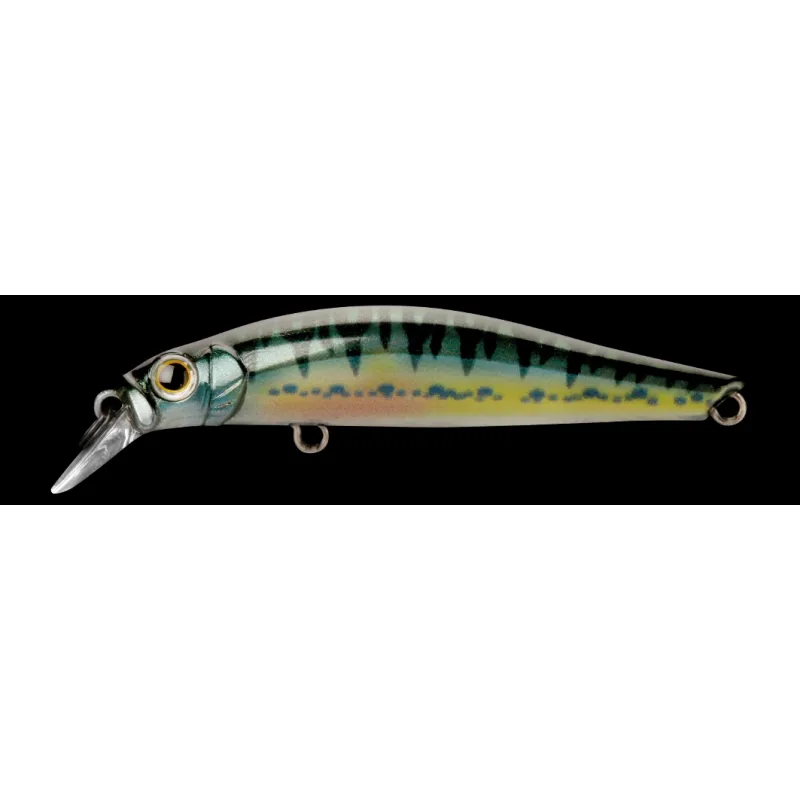 Jackson Artist FR55 – Poisson nageur coulant 5,5 cm