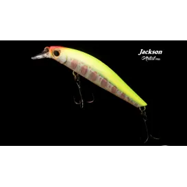 LEURRE JACKSON ARTIST 55