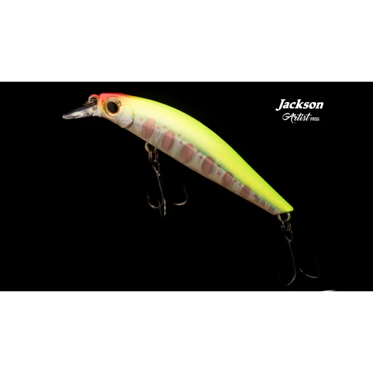 LEURRE JACKSON ARTIST 55 LEURRE JACKSON ARTIST 55