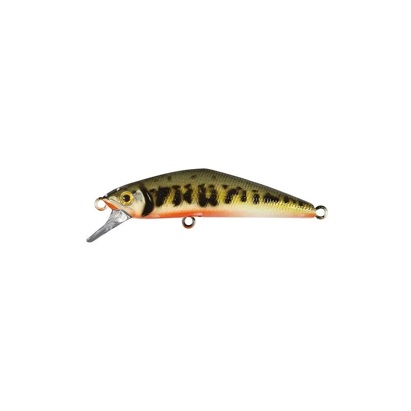 Smith D-Compact 45 mm – Jerkbait coulant 3,5 g