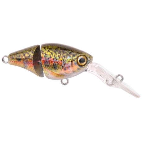 SPRO Ikiru Double Crank 35 – Crankbait flottant