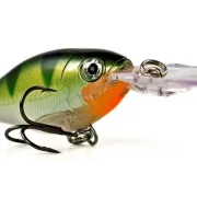 CRANKBAIT