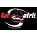 CAT SPIRIT
