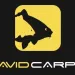 AVID